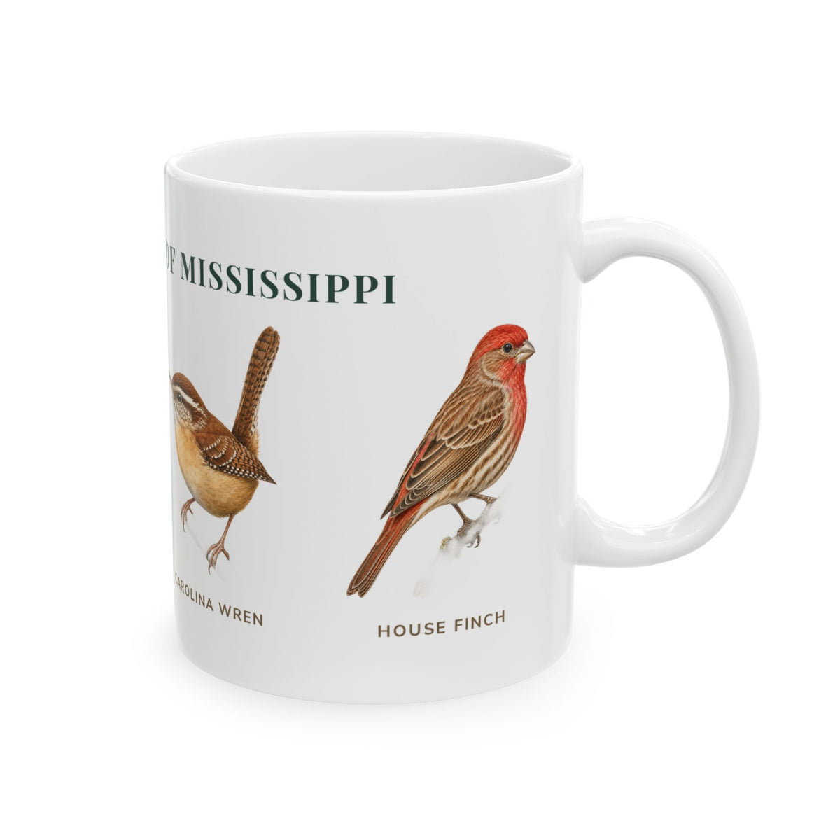 Backyard Birds of Mississippi mug, right side with labeled bird illustrations