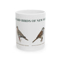 Backyard Birds of New Mexico Mug — Labeled Spotted Towhee, White-winged Dove, White-crowned Sparrow & Black-chinned Hummingbird (11oz)