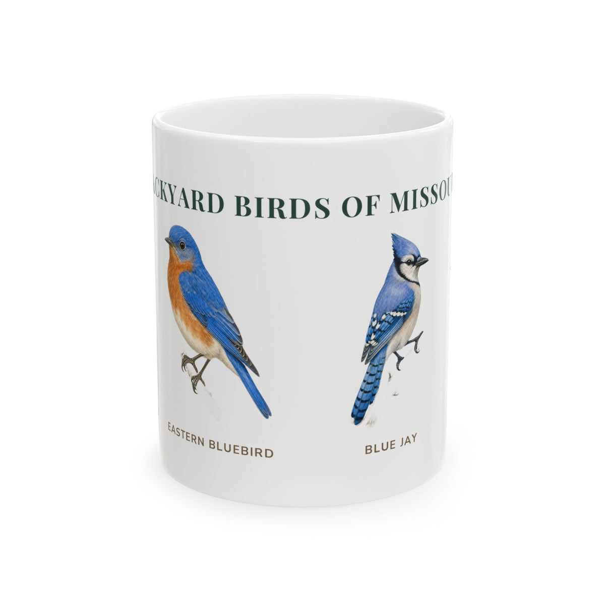 Backyard Birds of Missouri ceramic mug with labeled illustrations of Missouri backyard birds
