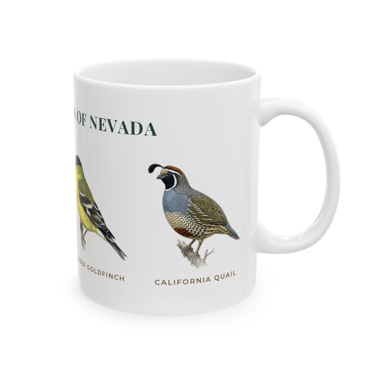 Backyard Birds of Nevada Mug — Labeled House Finch, White-crowned Sparrow, Lesser Goldfinch & California Quail (11oz)