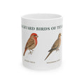 Backyard Birds of Texas ceramic mug with labeled illustrations of Northern Cardinal, House Finch and Mourning Dove