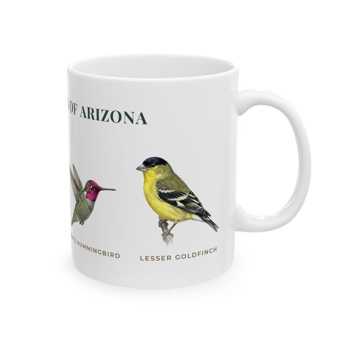 Backyard Birds of Arizona Mug — Labeled Gambel's Quail, Gila Woodpecker, Anna's Hummingbird & Lesser Goldfinch (11oz)