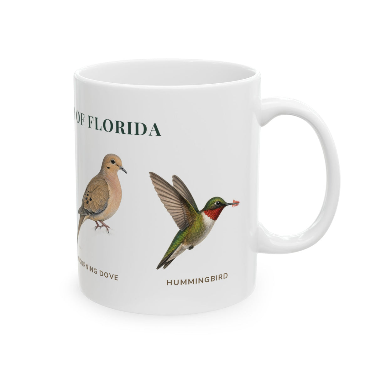 Backyard Birds of Florida mug, alternate view — labeled Blue Jay, Mourning Dove and Northern Cardinal illustrations