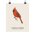 Northern Cardinal matte art print in vintage field notes style