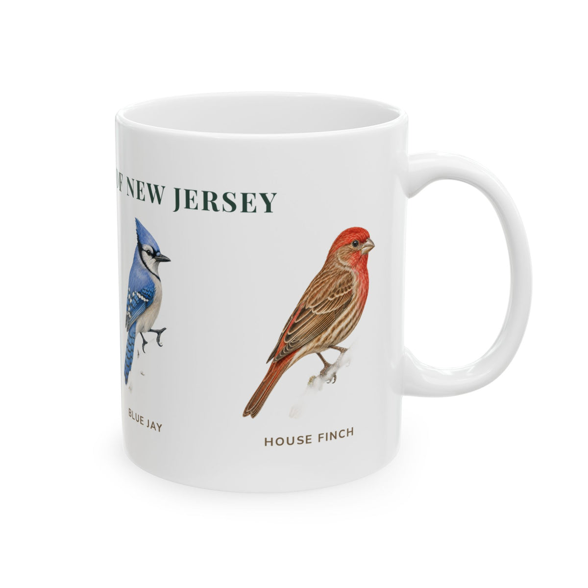 Backyard Birds of New Jersey mug, right side with labeled bird illustrations