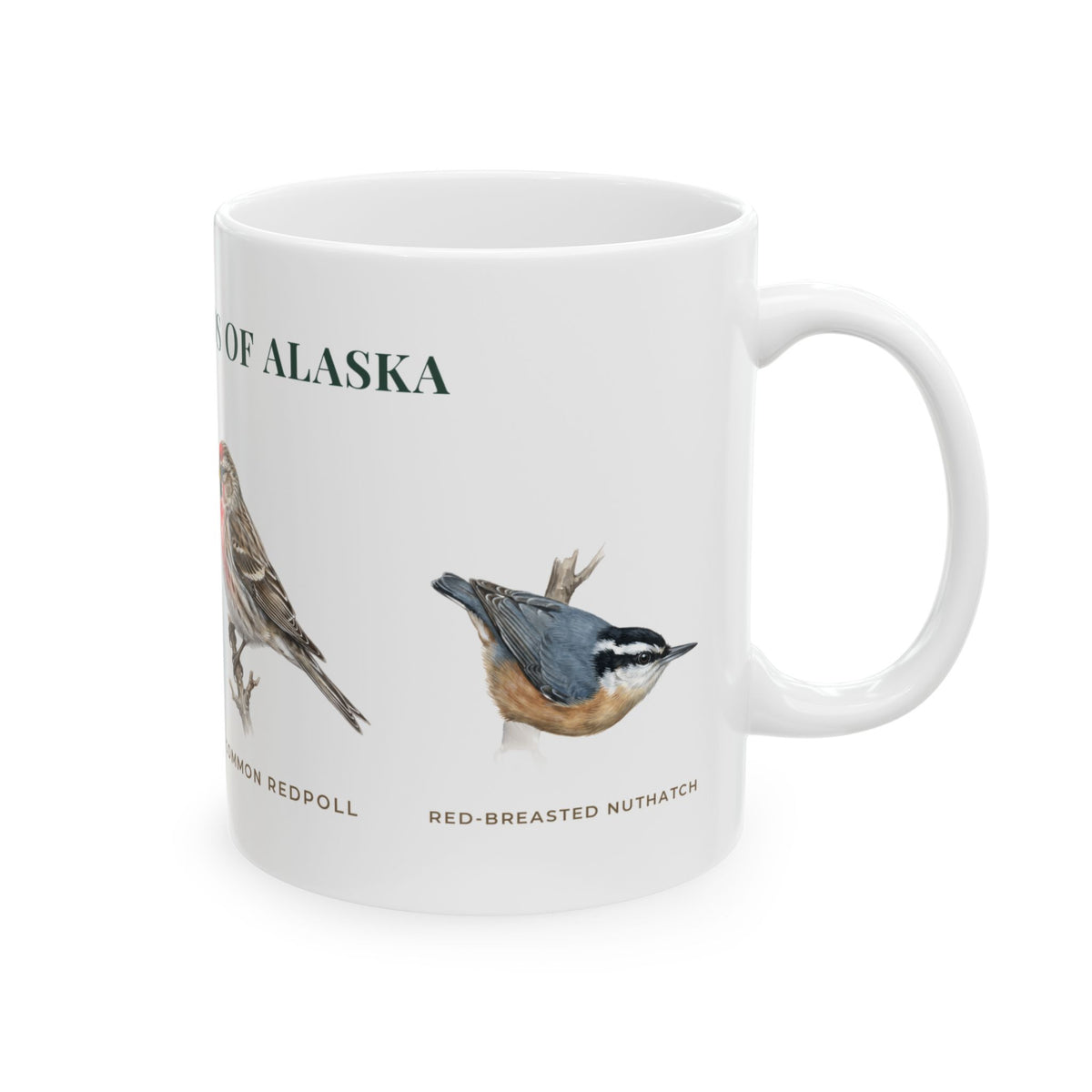 Backyard Birds of Alaska Mug — Labeled Chickadee, Steller's Jay, Common Redpoll & Red-breasted Nuthatch (11oz)
