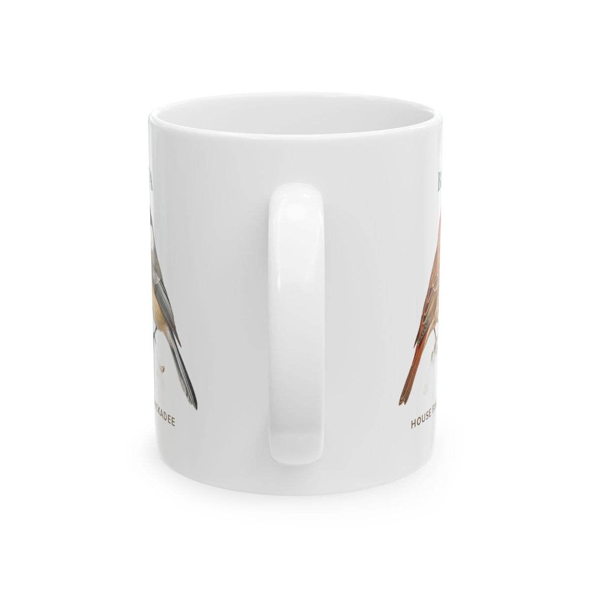 Backyard Birds of South Dakota mug, handle view