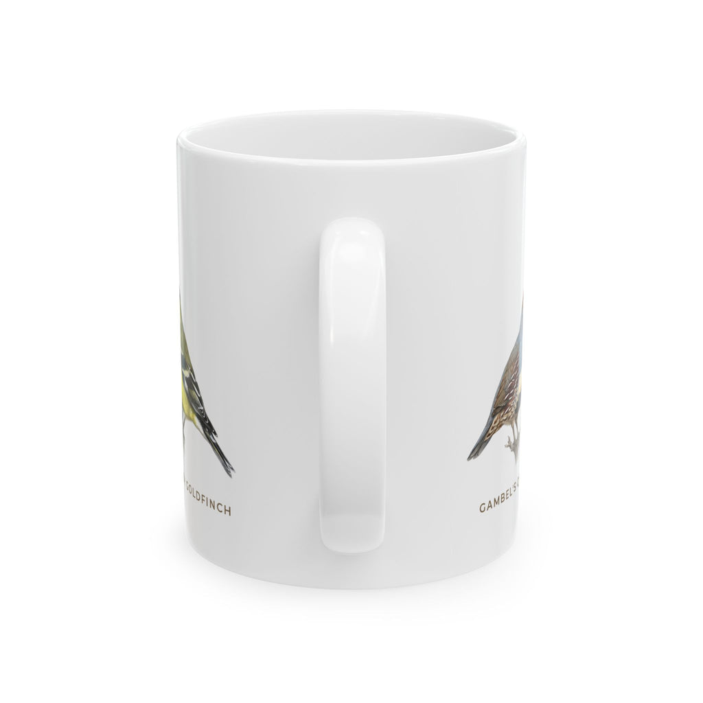 Backyard Birds of Arizona Mug — Labeled Gambel's Quail, Gila Woodpecker, Anna's Hummingbird & Lesser Goldfinch (11oz)