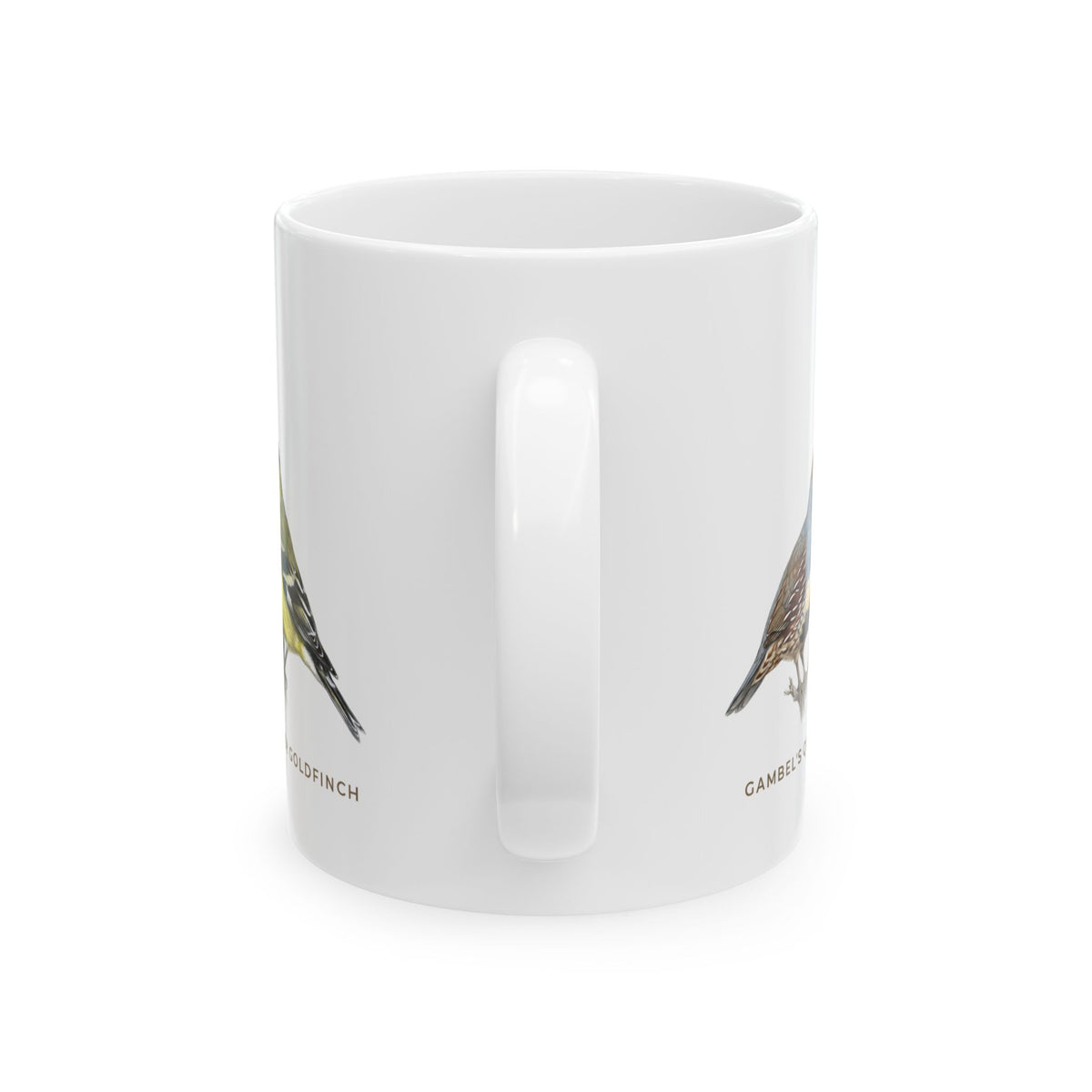 Backyard Birds of Arizona Mug — Labeled Gambel's Quail, Gila Woodpecker, Anna's Hummingbird & Lesser Goldfinch (11oz)