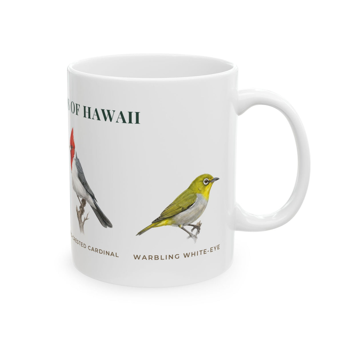 Backyard Birds of Hawaii Mug — Labeled Zebra Dove, Common Myna, Red-crested Cardinal & Warbling White-eye (11oz)