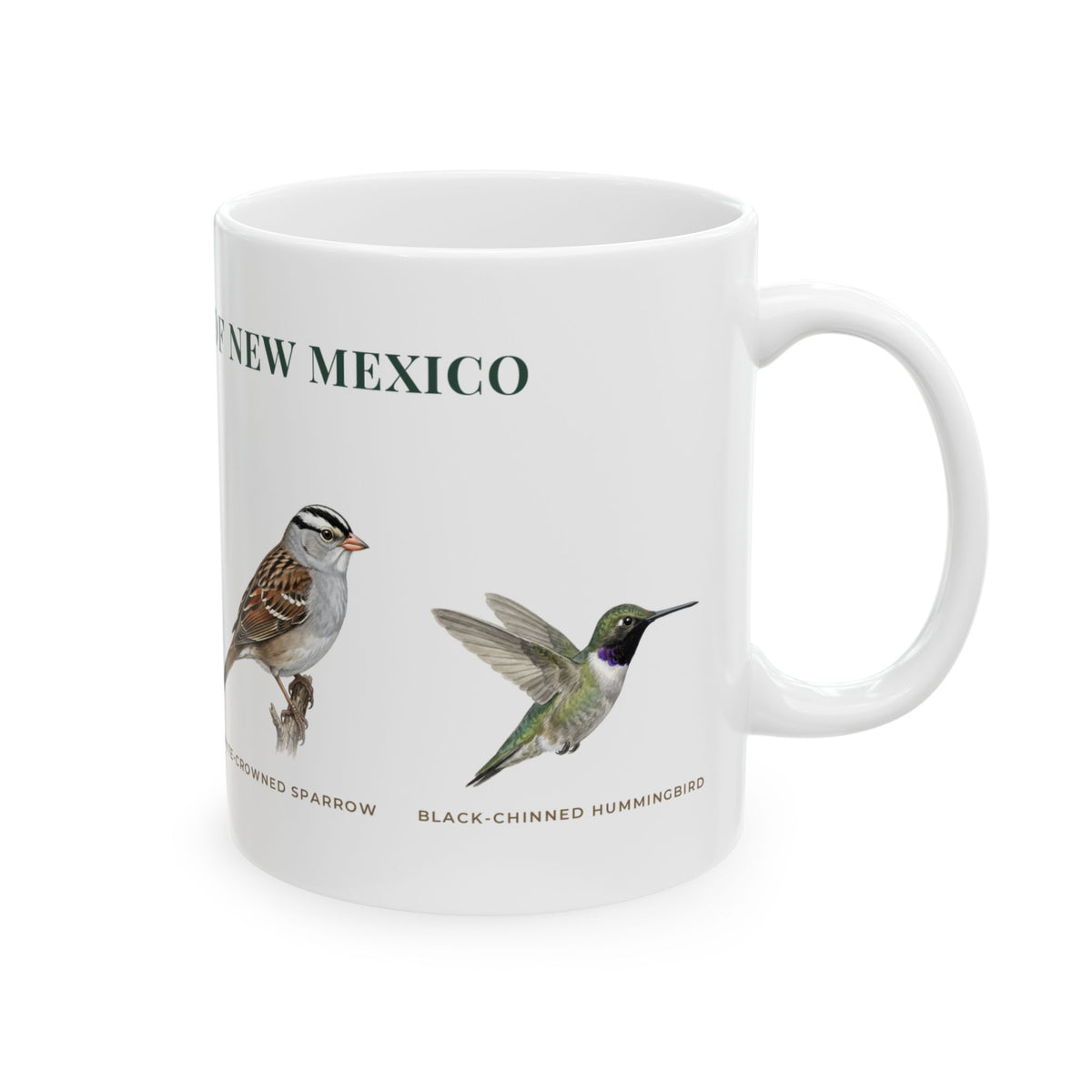 Backyard Birds of New Mexico Mug — Labeled Spotted Towhee, White-winged Dove, White-crowned Sparrow & Black-chinned Hummingbird (11oz)