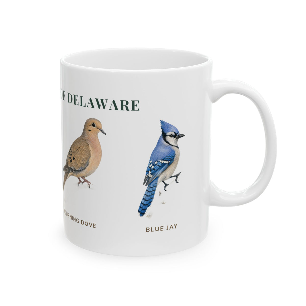 Backyard Birds of Delaware mug, right side with labeled bird illustrations