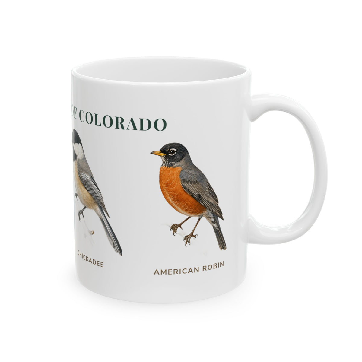 Backyard Birds of Colorado mug, alternate view — labeled House Finch, hummingbird, Chickadee and Robin illustrations