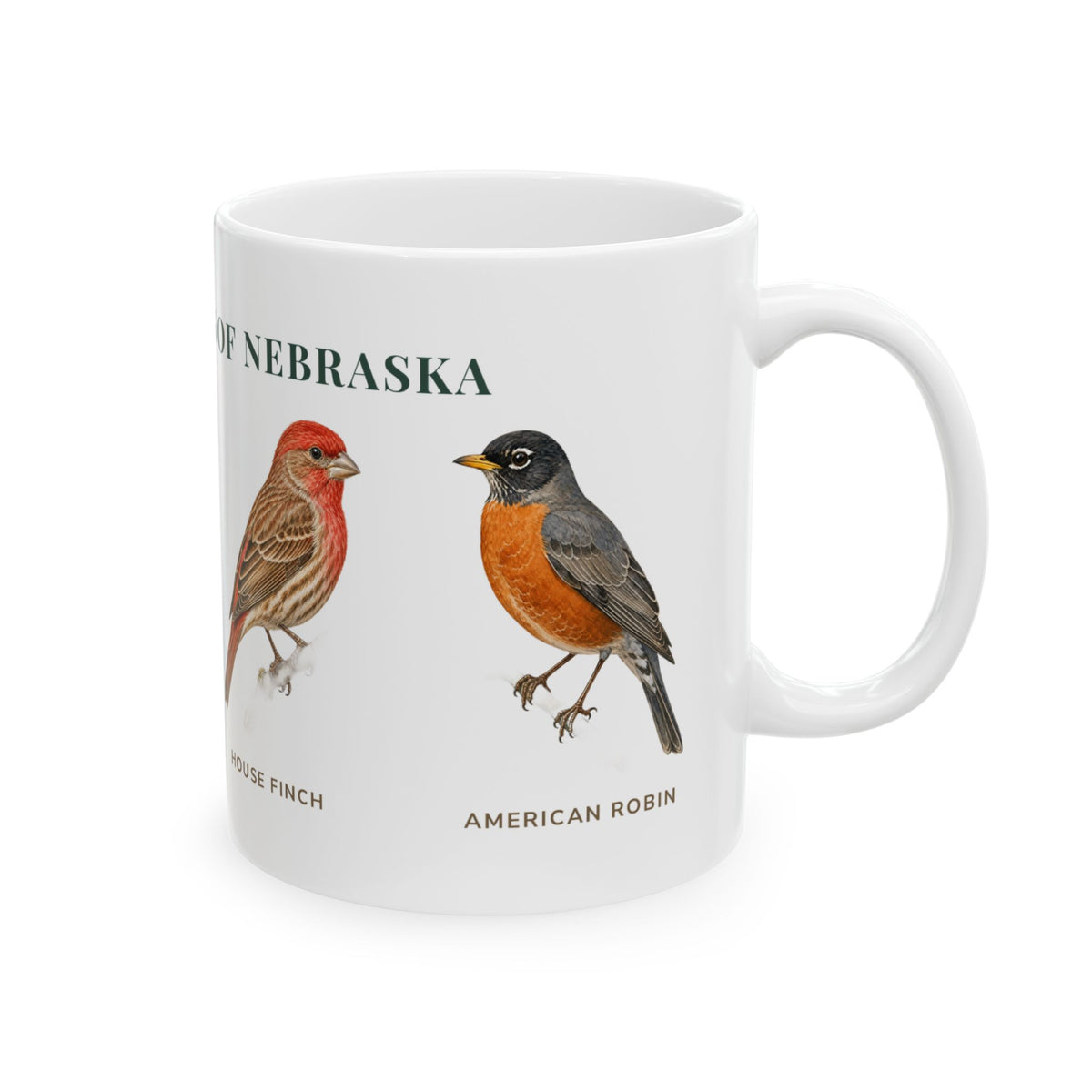 Backyard Birds of Nebraska mug, right side with labeled bird illustrations