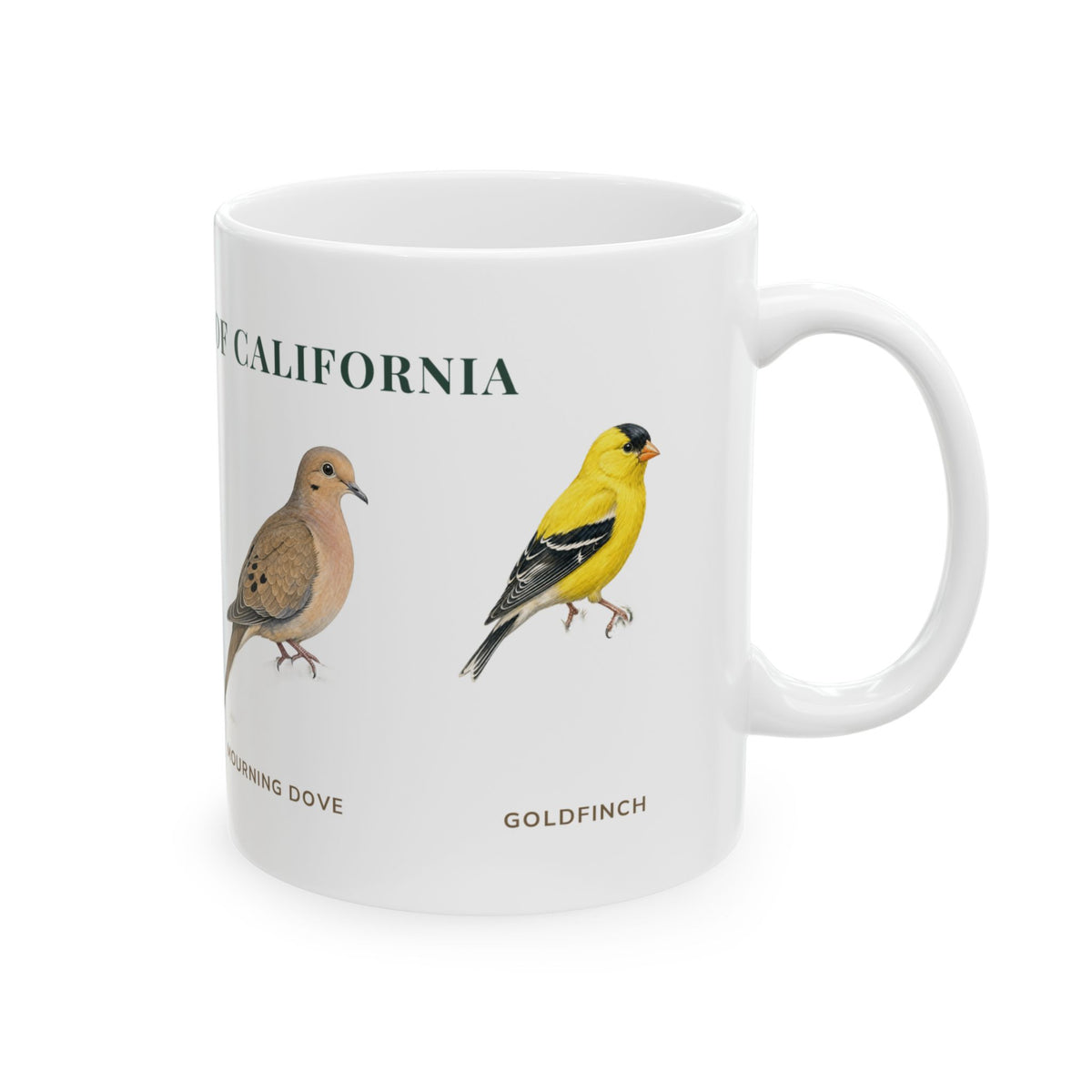 Backyard Birds of California mug, right side — labeled Mourning Dove and goldfinch