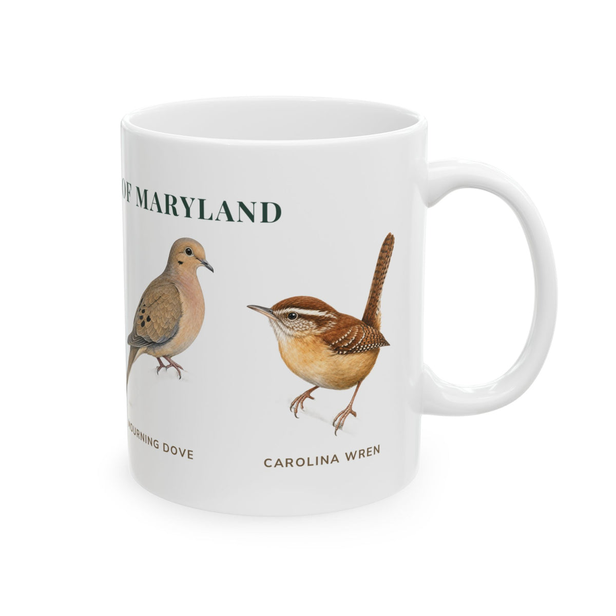 Backyard Birds of Maryland mug, right side with labeled bird illustrations