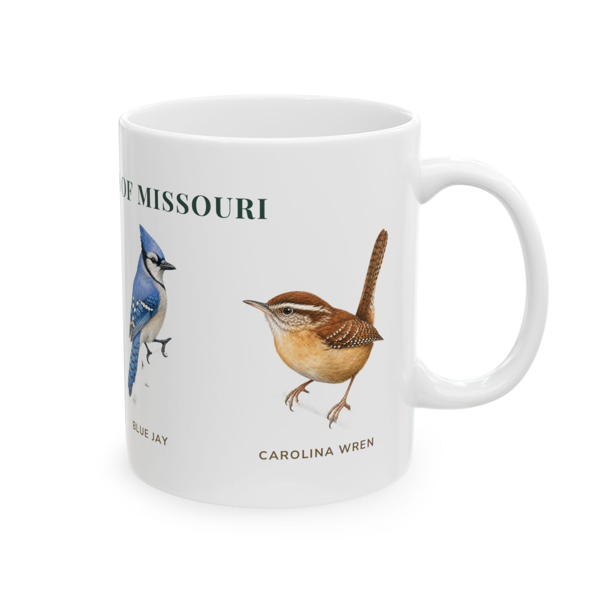 Backyard Birds of Missouri mug, alternate view — labeled backyard bird illustrations