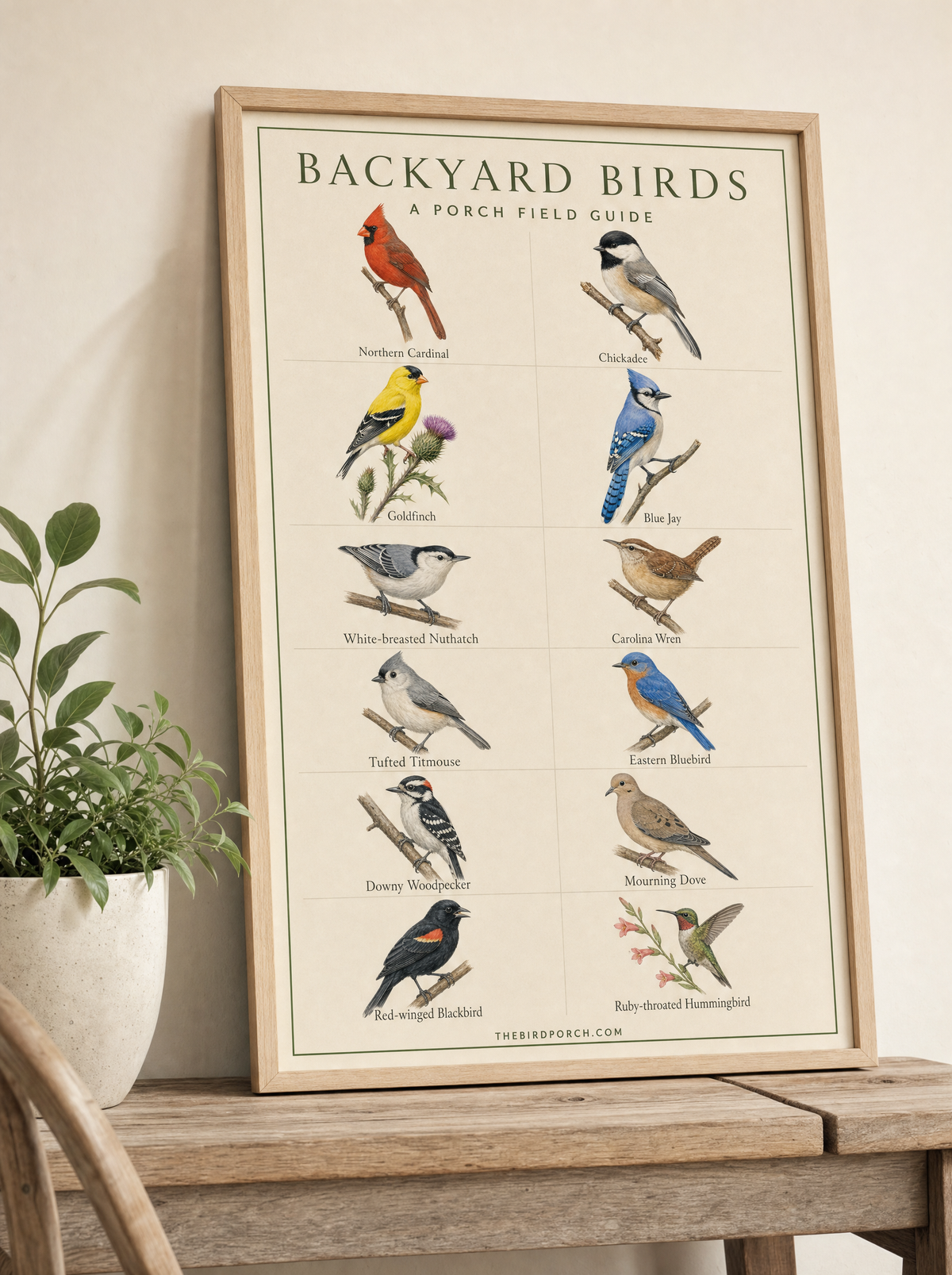 Porch Field Guide Poster 12×18 – The Bird Porch