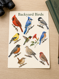 Backyard Birds Sticker Sheet – The Bird Porch