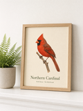 Field Notes Art Print 8×10 – The Bird Porch